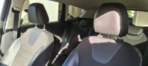 Bio Car Cleaning